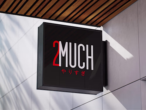 2Much Clothing – Brand Identity Design (2025-2026) Concept-d...