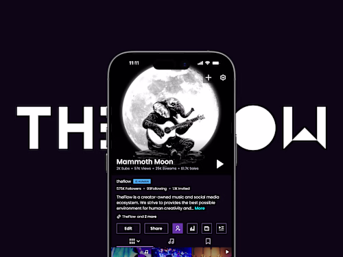 TheFlow UX/UI Design