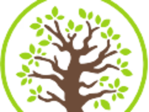 ‎Podcast Edit - JODcast