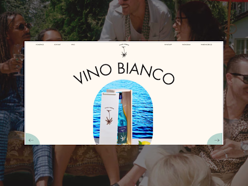 E-Commerce Website & Promo Landing Page · Wine Brand