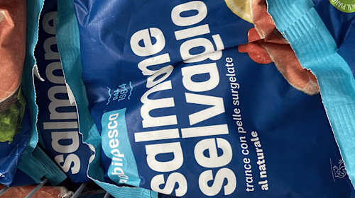 Revitalizing Mobilpesca: A Comprehensive Brand Makeover