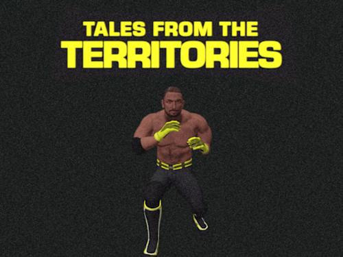 AR Filter - Vice TV 'Tales from the Territories'