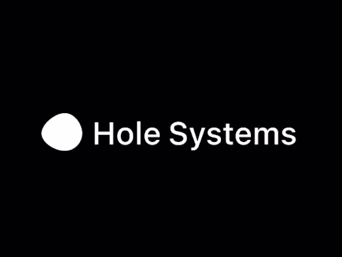 Hole Systems: Personalised AI Companion
