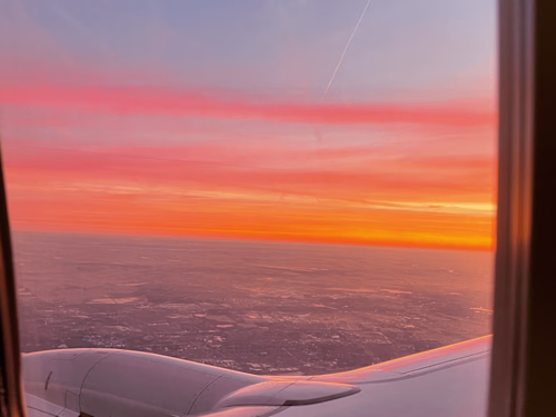 Digital Content Writer