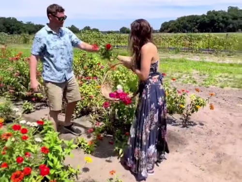 Among the Wildflowers