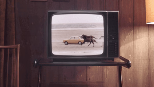 Webflow Development and Custom Airtable CMS Solution