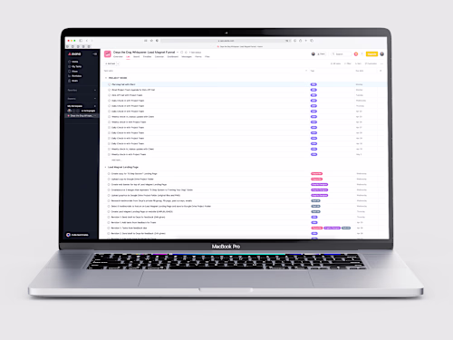 Lead Magnet Funnel Launch