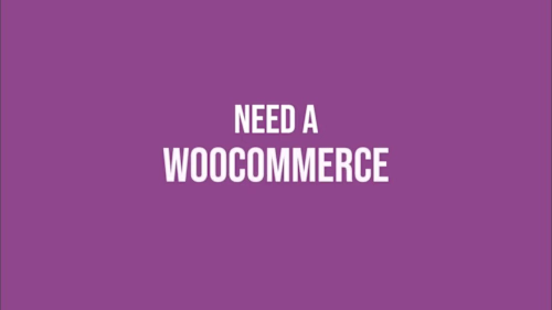 Stop DIY! Get Your Dream WooCommerce Shop Built & Managed (Free…