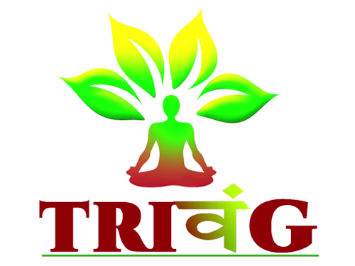 Vedrisi by Trivang eCommerce store - amazon