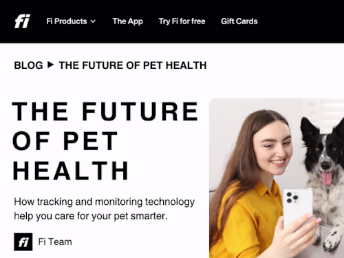 Sample blog post for Fi,