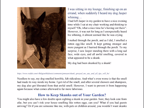 Keep Skunks Out of Your Garden.pdf