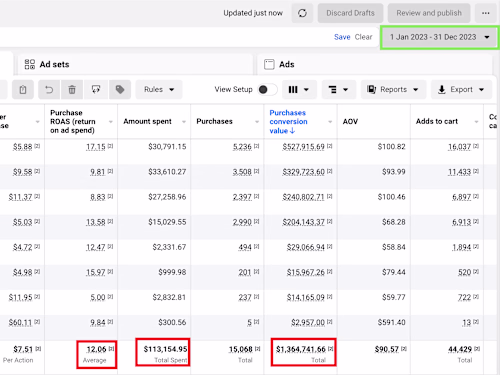 Increased Purchase Conversion Value by 785% in 2023