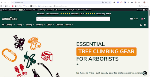 E-commerce Wordpress Online Store