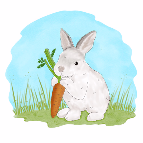 White Rabbit with a Crunchy Snack :: Behance