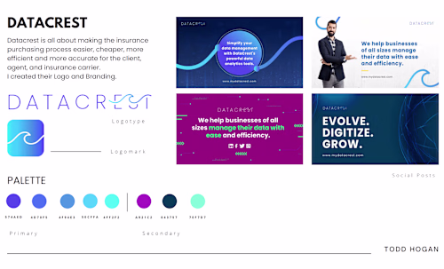 DataCrest Brand and Visual Identity