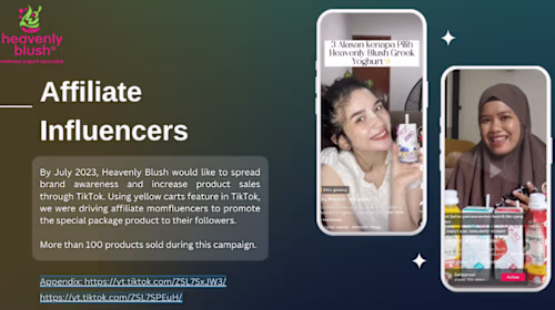 I managed affiliate influencers project