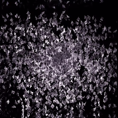 💫🦋 Moths Rendering Design | 3D Exploration 🦋💫