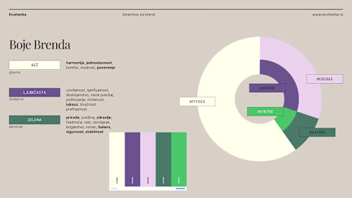 Brand book and visual identity guidelines 