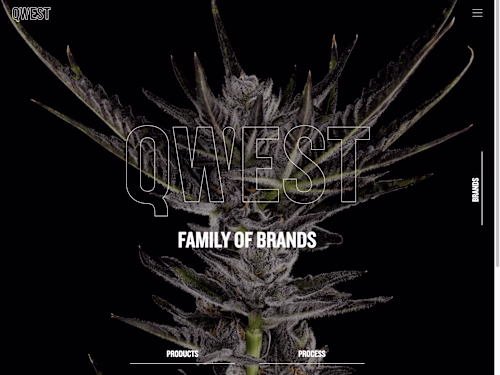 Qwest Cannabis