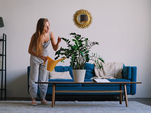 Psychology Blog Writing | Depression | Research