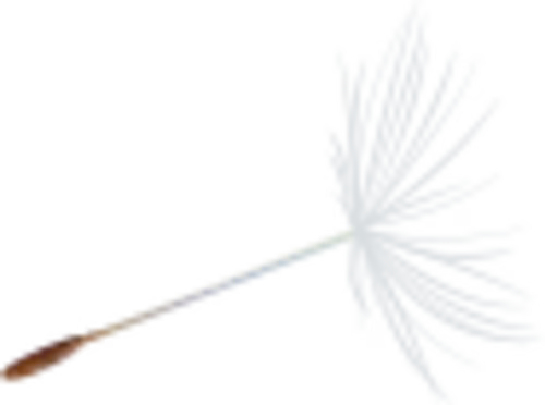 Organic Essential Wellness - Health and Beauty Treatments