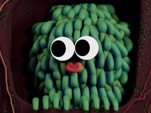 Who’s hiding in the hollow? 3D animation