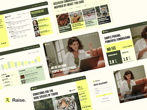 Raise Fundraising Website Design