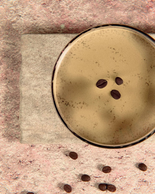 Lifestyle Shots: Luxury Product Visuals