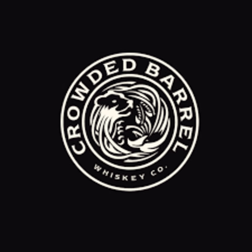 Professional Graphic Designer  