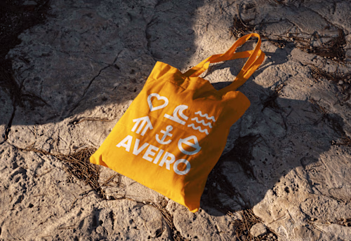 BRANDING | Visual Identity of Aveiro 