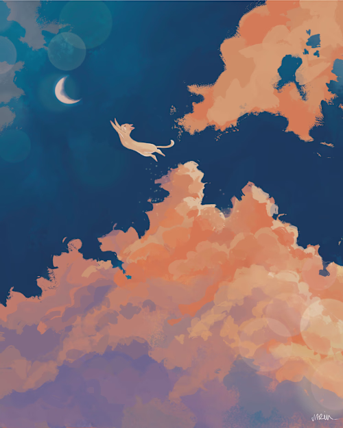 The cat and the moon collection