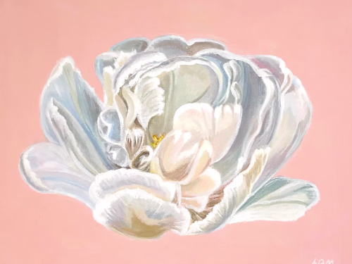 Brushstrokes & Beyond: A Collection of Paintings & Illustrations