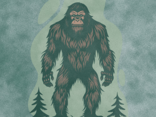 Data Analysis Narrative & Visualizations