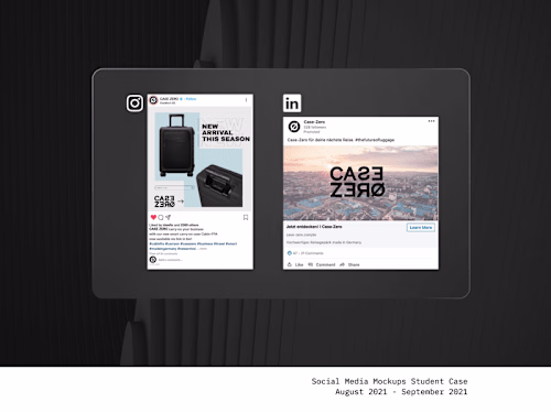 Creating a Smart Luggage Brand - Case Zero
