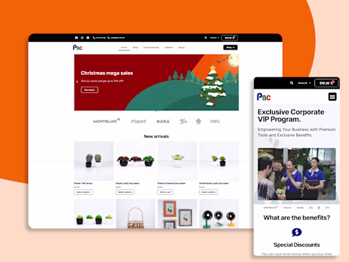 Ecommerce Web Design
