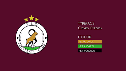 FANTASY PREMIER LEAGUE on Behance