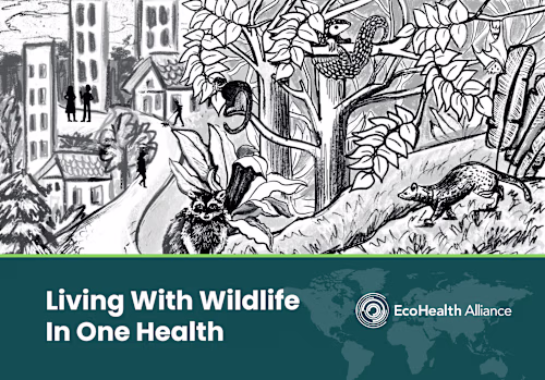 Pitch Deck Design | Presentation Designs