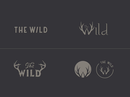 The Wild Brand ID — Chris Pickering