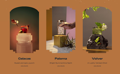 Website Copywriting & Copy Editing —— Tepozán Tequila 🥃