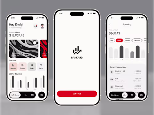 Bankard Insights: Visualizing Your Financial Health 