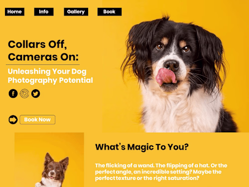 Home Page Copy for a Dog Photography Business