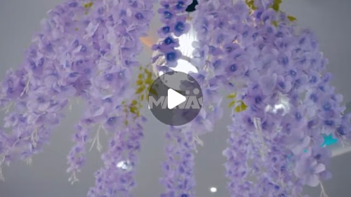 Mana’s Portfolio on Instagram: “New Visual 🎥✨ Out for [ @castl…