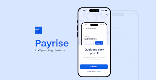 Comprehensive HR Platform Development for Payrise