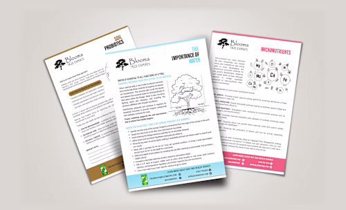 Eco‑Inspired Poster Set for Blooma Tree | Sustainable Design