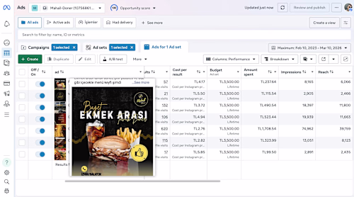 Meta Ads Campaign for a