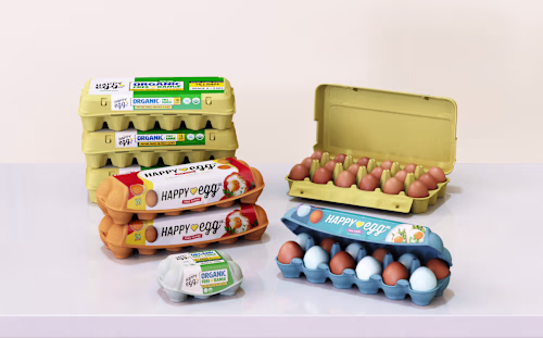 Our task was to create