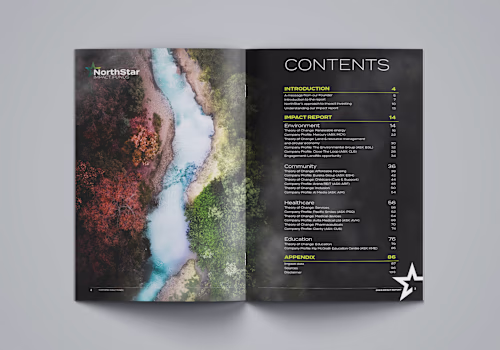 NorthStar Impact Report 