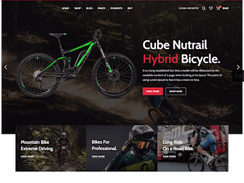 Bicycle Website Design & Development