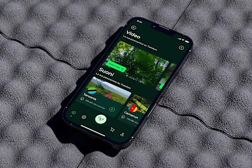 Treedome: A disruptive solution to planting more trees