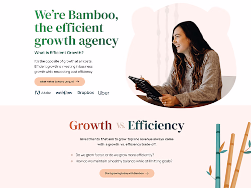 Bamboo Agency Branded Homepage